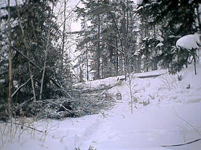 wood...colder and colder!